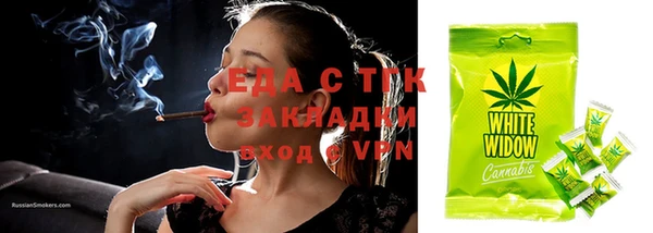 спайс Михайлов