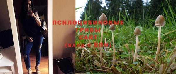 мдма Михайловск