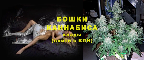 спайс Михайлов