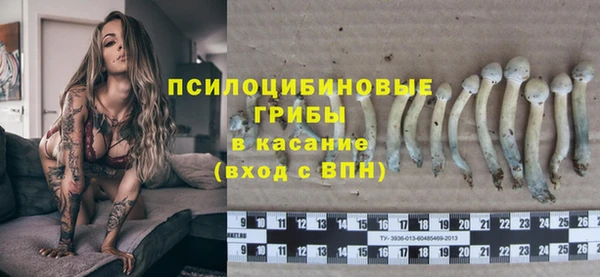 спайс Михайлов