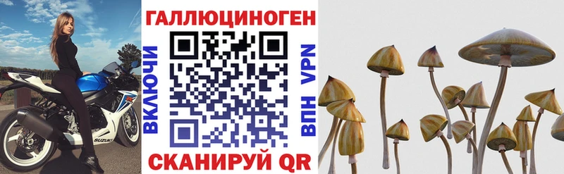 Галлюциногенные грибы ЛСД  Чухлома 